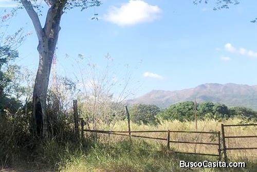 Venta Terreno Urbanización Guataparo Viejo Valencia - YTE4