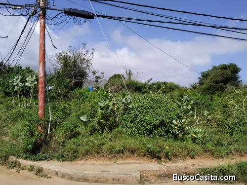 Sector Sabana del Agua. Vía Playa El Agua