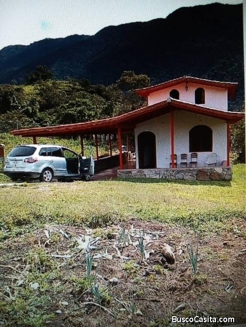 Casa - cabaña - invernadero