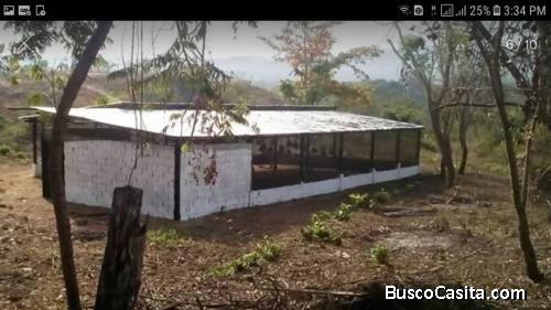 SE VENDE FINCA EN EL SECTOR GAMELOTAL MUNICIPIO SIMON PLANAS ESTADO LARA