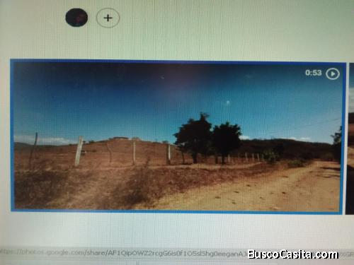 SE VENDE FINCA SECTOR LAS VELITAS-YARITAGUA EDO. YARACUY