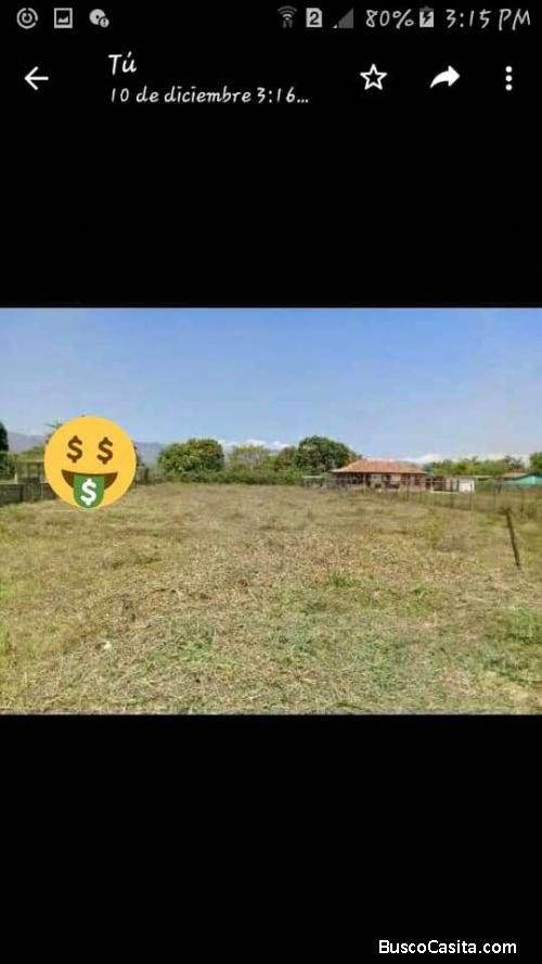 Terreno 2500 Metros Cuadrados . El Encanto ( Tocuyito )