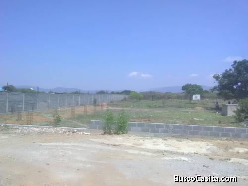 TERRENO VENTA TAMACA BARQUISIMETO API 4103