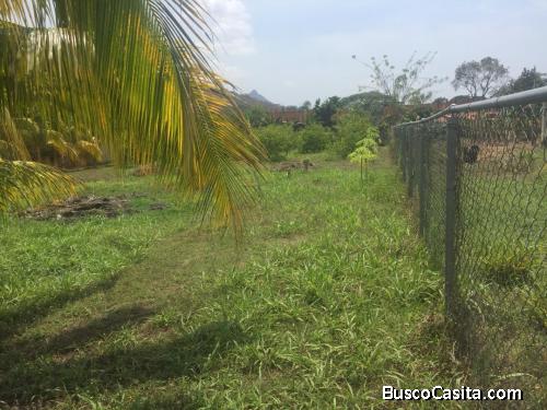 Terreno de 1600 mtrs2 Ubicación Municipio San Diego Sector la Cumaca.