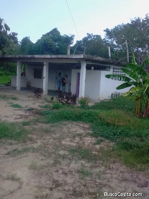 Finca con casa de placa de 9 hectáreas