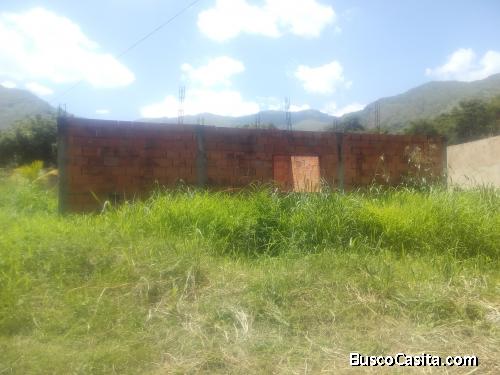 Sky Group Vende Terreno en La Josefina, San Diego