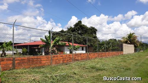 9-	TERRENO CON GALPON, TOCUYITO