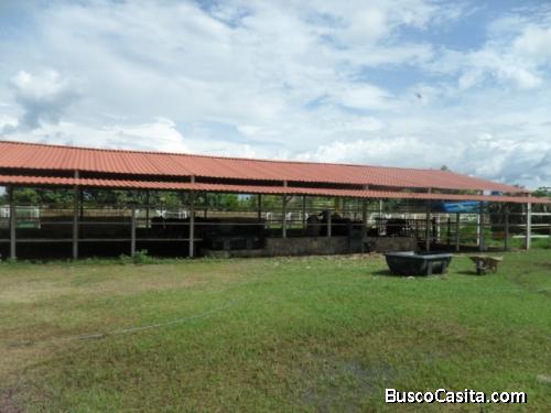 Vendo finca en El Encanto Carabobo