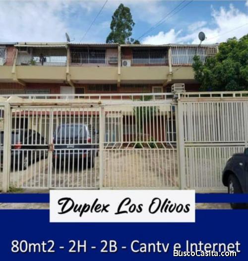 APARTAMENTO LOS OLIVOS