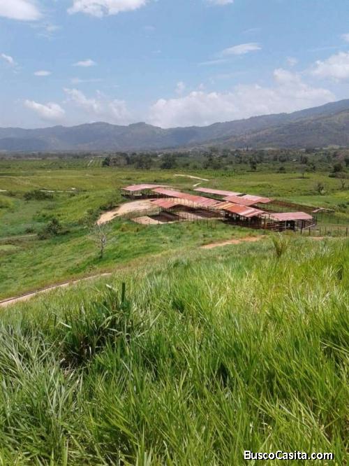 Finca de Producción Agropecuaria en Temerla (MAT-133)