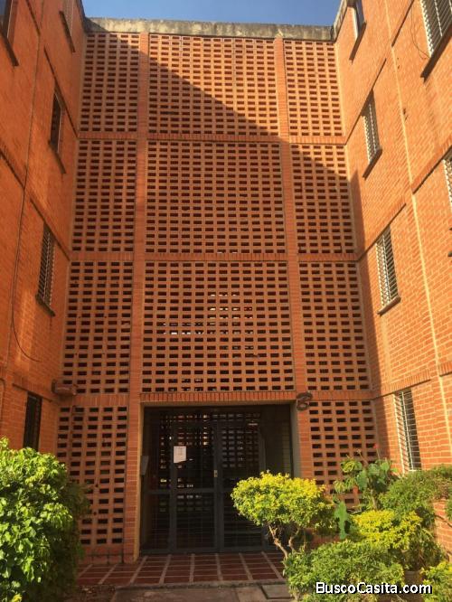 Aptto Tulipan San Diego FOA 986