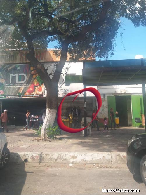 SE ALQUILA LOCAL Excelente ubicación Av. Bolivar Norte. (A pie de calle)