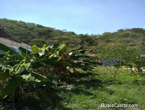 VENDO  TERRENO GUACARA ZONA COMERCIAL  