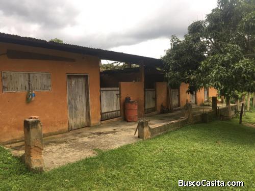 VENDO FINCA SAN FELIPE NIRGUA  