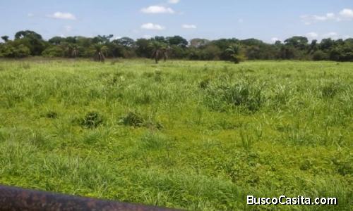 En Venta hermosa Finca Vía Anaco