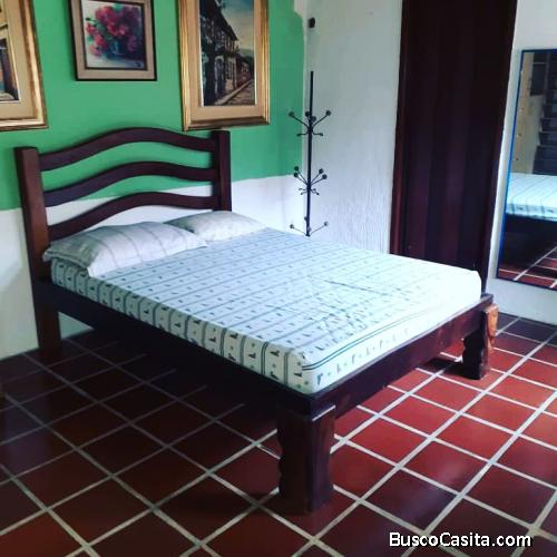 Anexo Alquiler El Castaño Palmarito