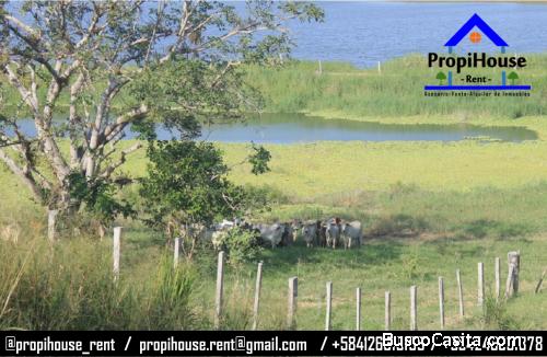 FINCA en Yaracal Edo. Falcón. Excelente inversión 