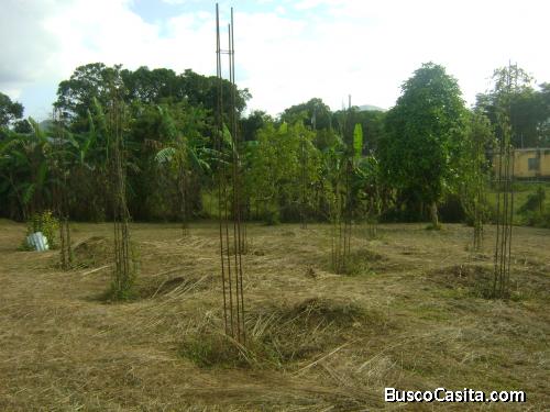 Parcela en venta con agradable clima y ubicación