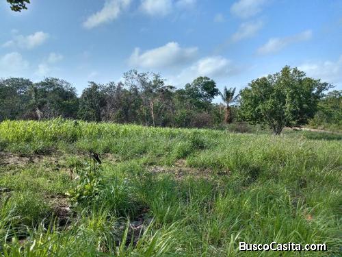 VENTA DE TERRENO RURAL HERMANOS GONZÁLEZ