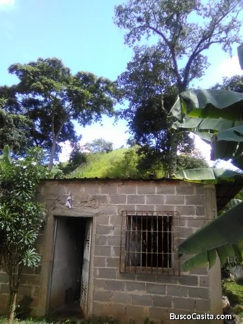 casa economica de campo 