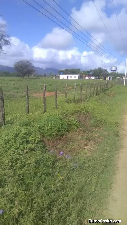 Parcela 12 hectáreas y medía