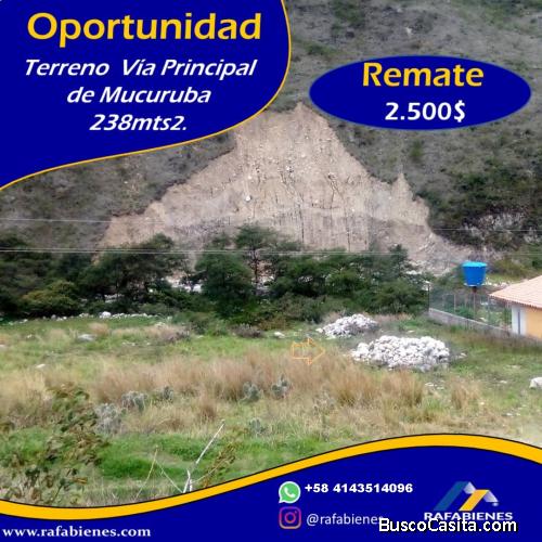 RAFABIENES VENDE TERRENO DE 238 METROS EN EL PARAMO DE MERIDA, VENEZUELA.