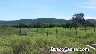 FINCA SAN MIGUEL ARCÁNGEL