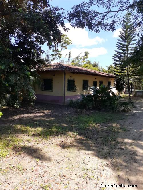 Sky Group vende Finca en Yaracuy, sector Hato viejo FOT-137