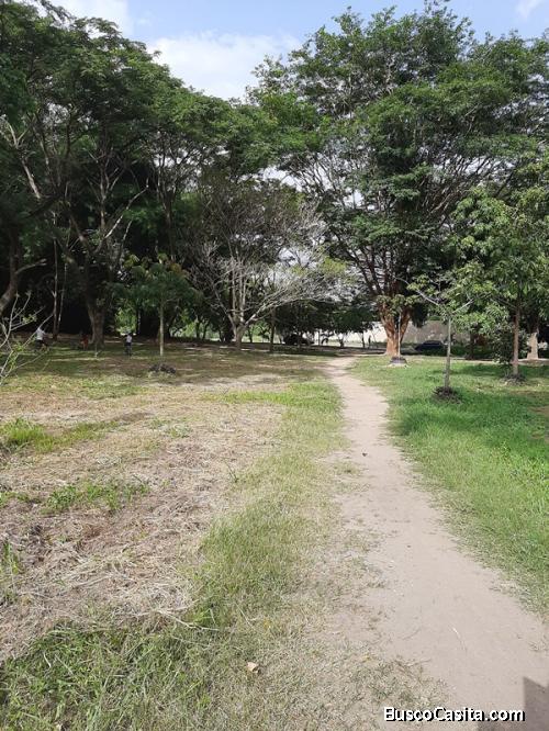 SKY GROUP PLATINUM VENDE Terreno en El Remanso.