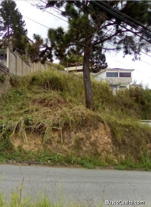 Se Vende Terreno 560M2, Caicaguana, Mun. El Hatillo