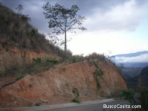 Vendo Terreno en Caicaguana 1241m2