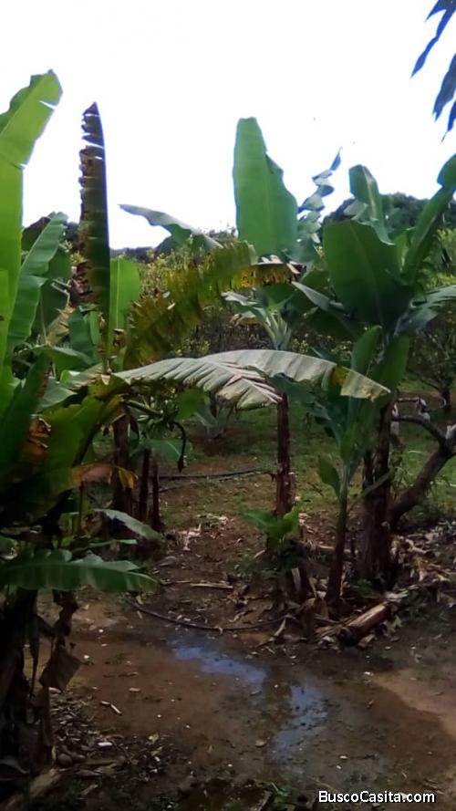 Vendo terreno 100% siembras entre otros 