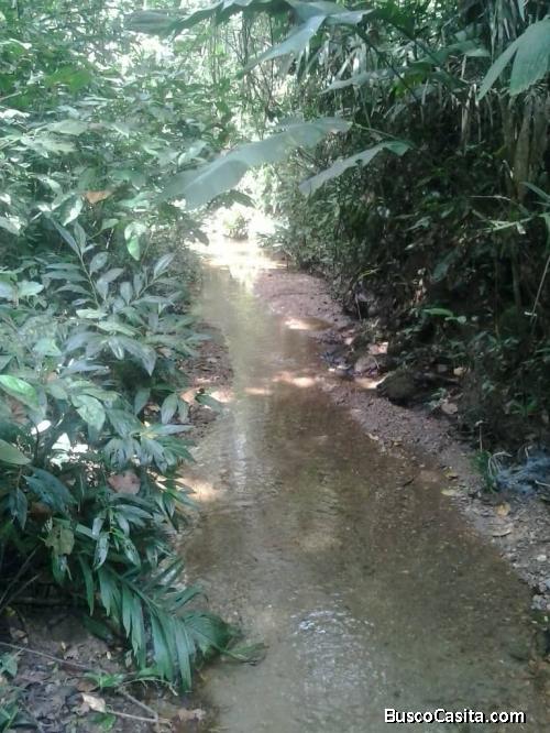 Skygroup Vende finca en tinaquillo