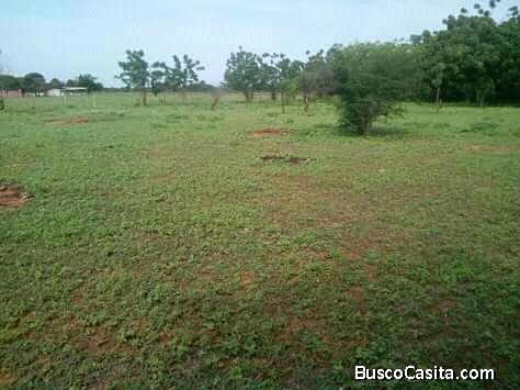 ATENCION ! Se vende o se cambia 5 hectáreas de Terreno
