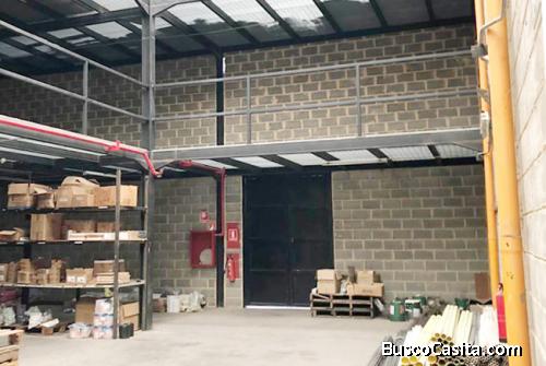 Yamily Ochoa Alquila Galpón 770 M2 Los Jarales San Diego - YGL15