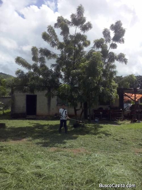 Se vende Parcela de 1000 mts , 