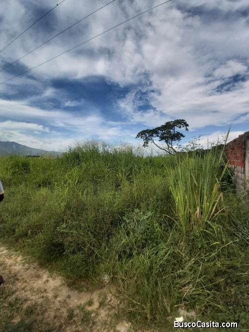 Terreno en Villas del Rey. FOT-156