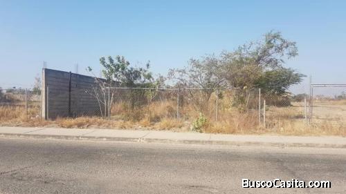 Nelly Nava Vende Terreno 