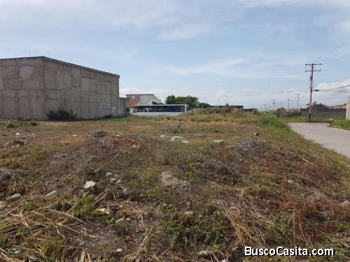 Nelly Nava Vende Terreno Guacara 