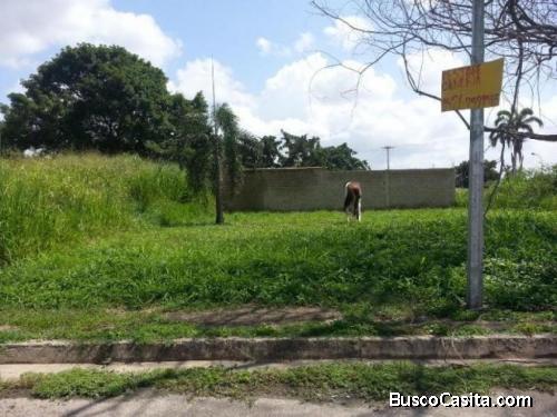 Nelly Nava Vende Terreno en El Molino El Libertador