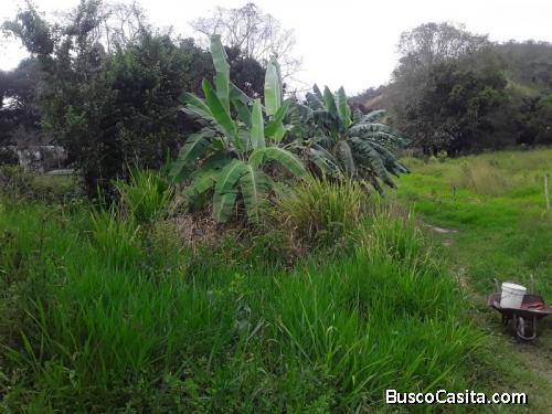 En venta finca en tinaquillo