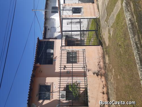 Cada en flor amarillo urbanización Rafael urdaneta , ( valencia)