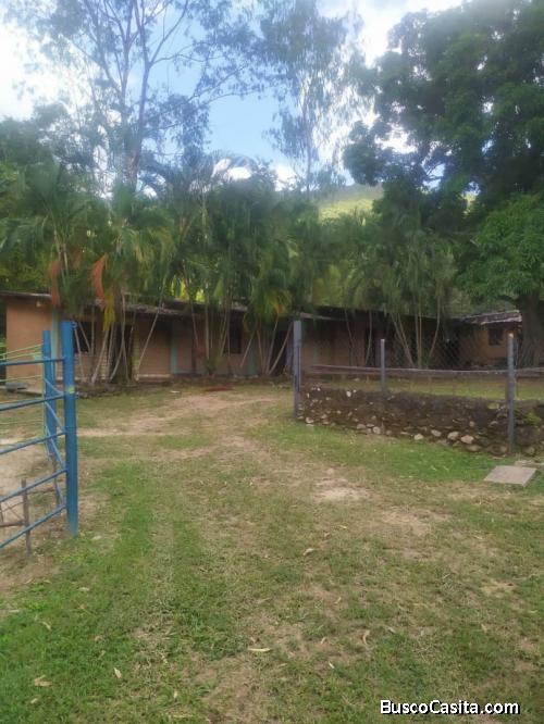 LISMAR LEDEZMA VENDE COMPLEJO AGROTURISTICO EN LA CUMACA