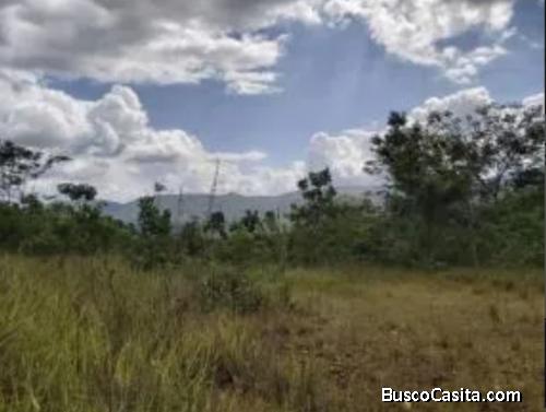 Terreno en San Luis de Guataparo. FOT-160