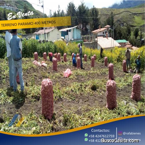 TERRENO EN EL PARAMO LISTO PARA SEMBRAR