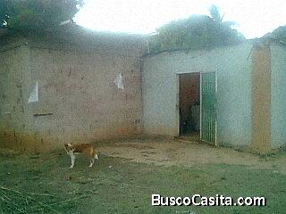 Casa en venta Altavista Anaco