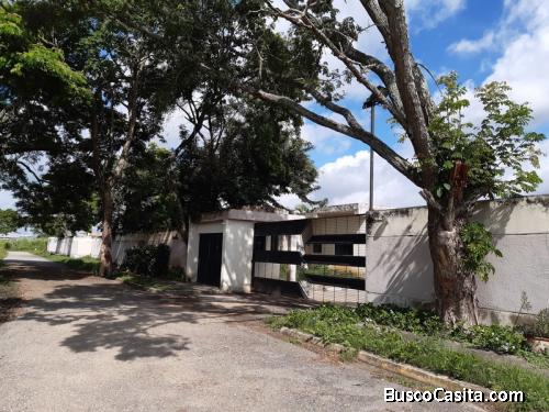 Casa En Flor Amarillo, Valencia Foc-817