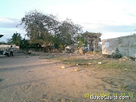 terreno san francisco parroquia domitila flores