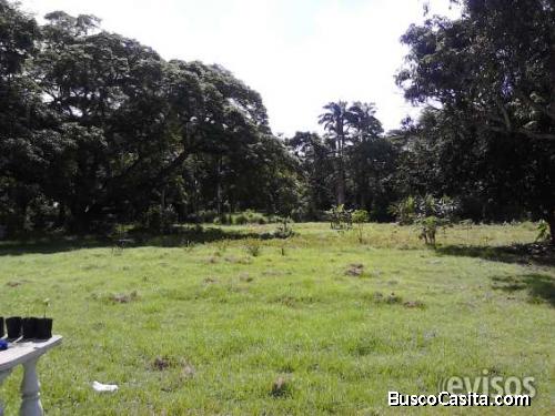 parcela en los canales el jobo de rio chico calle numero ideal para construcción 