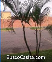 LOCAL CON BAÑO 11,5MTS2 PB CC LA MULERA 04144739386